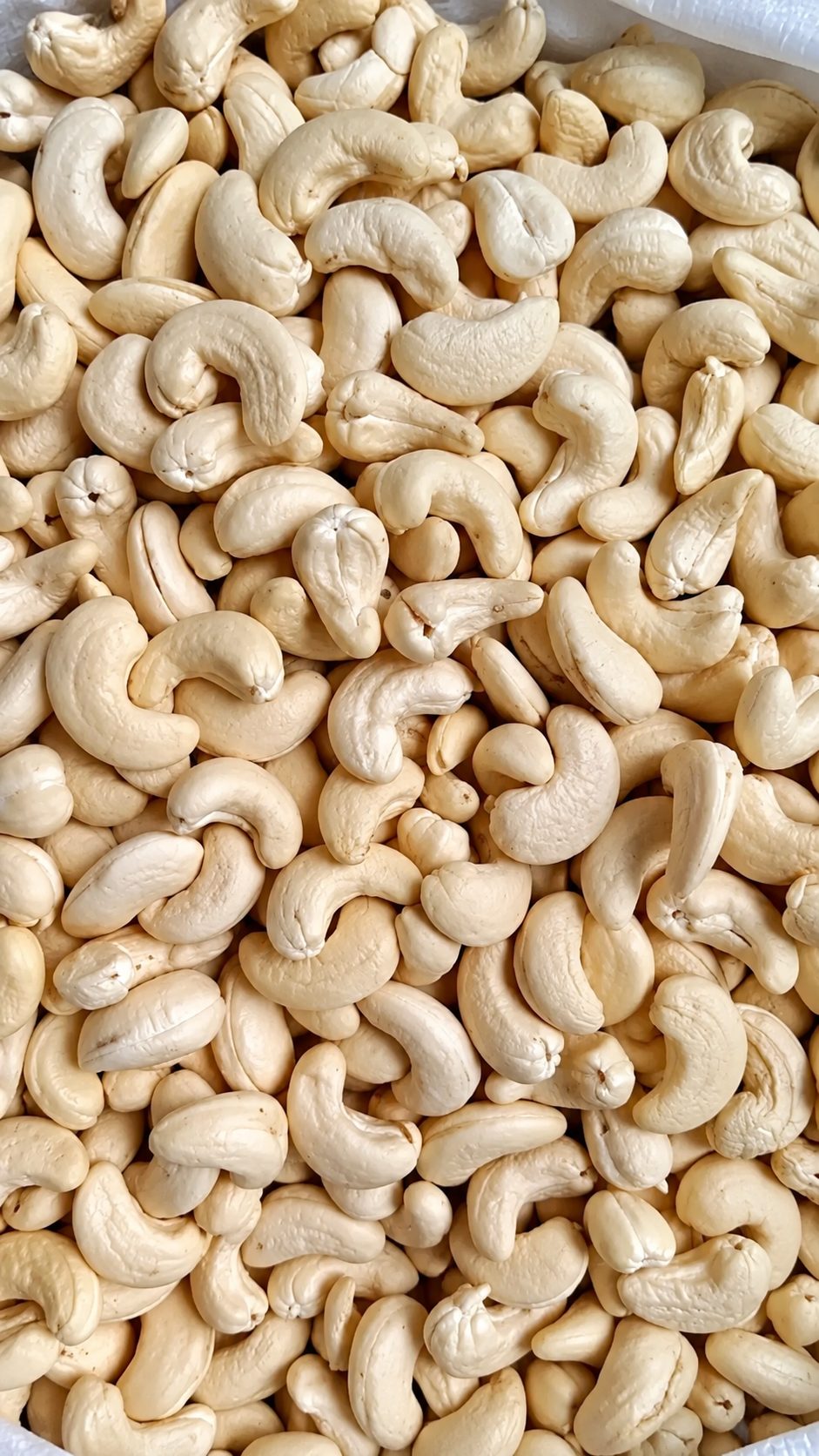 Whole white cashew kernels beside a woven export sack