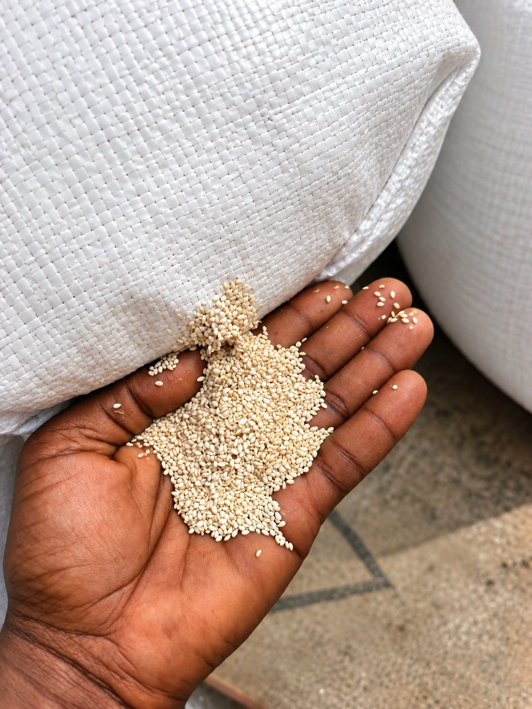 Hulled sesame seed sampled from an export sack