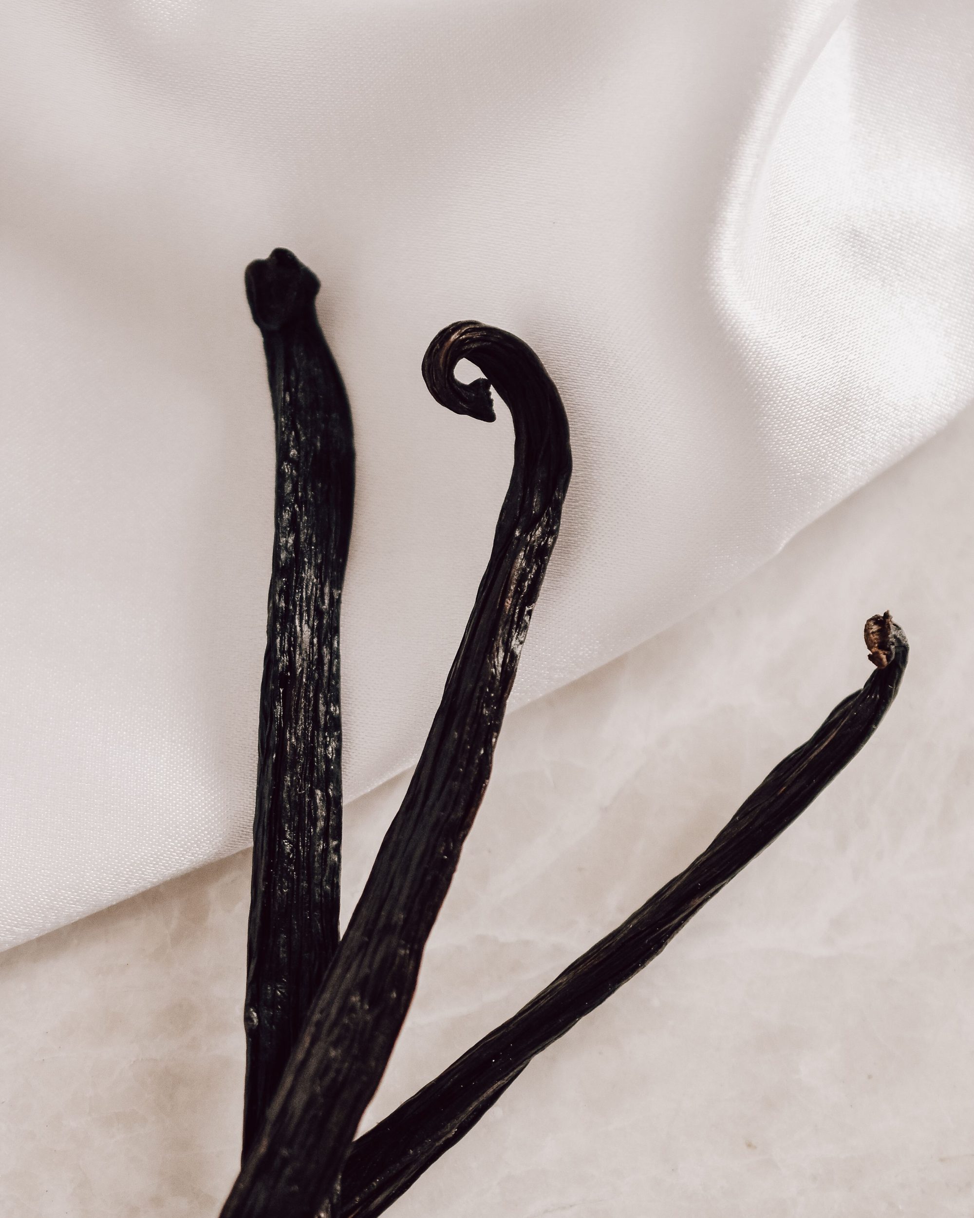 Cured vanilla pods shown in detail