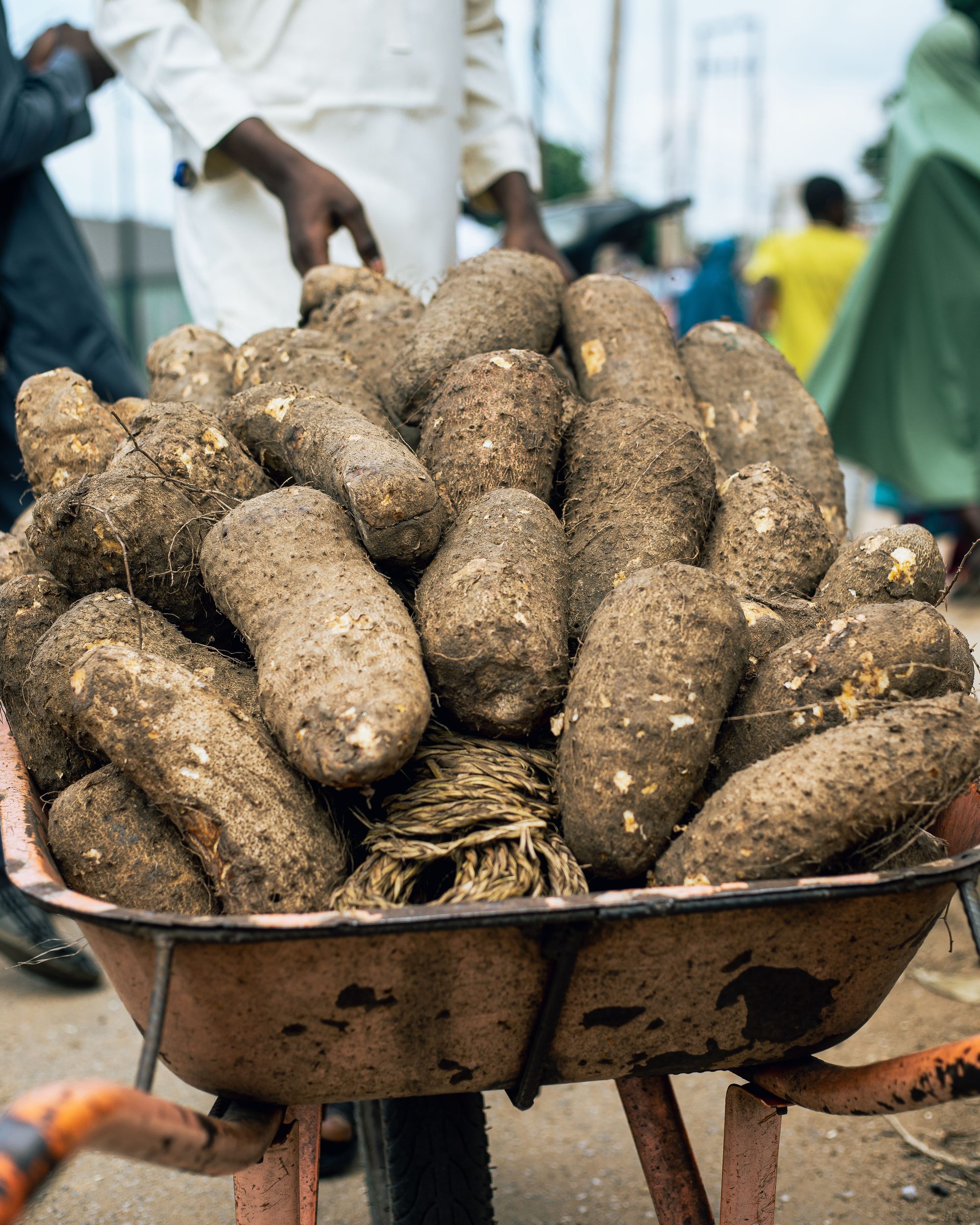 Yam tubers heaped in a wheelbarrow at a Nigerian market