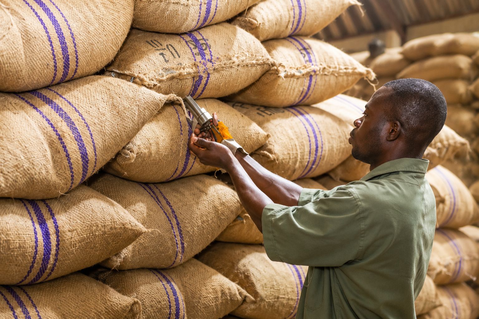 A commodity sample drawn from a sack for inspection